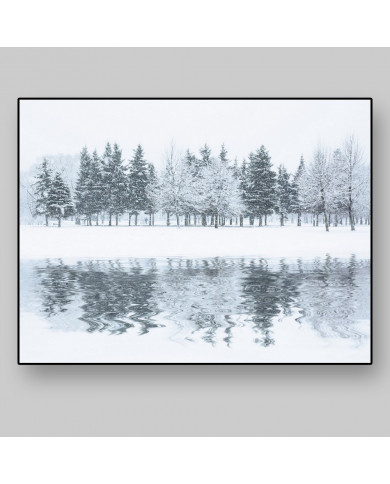 Bosque en invierno, Alaska, USA Bosque en invierno, Alaska, USA