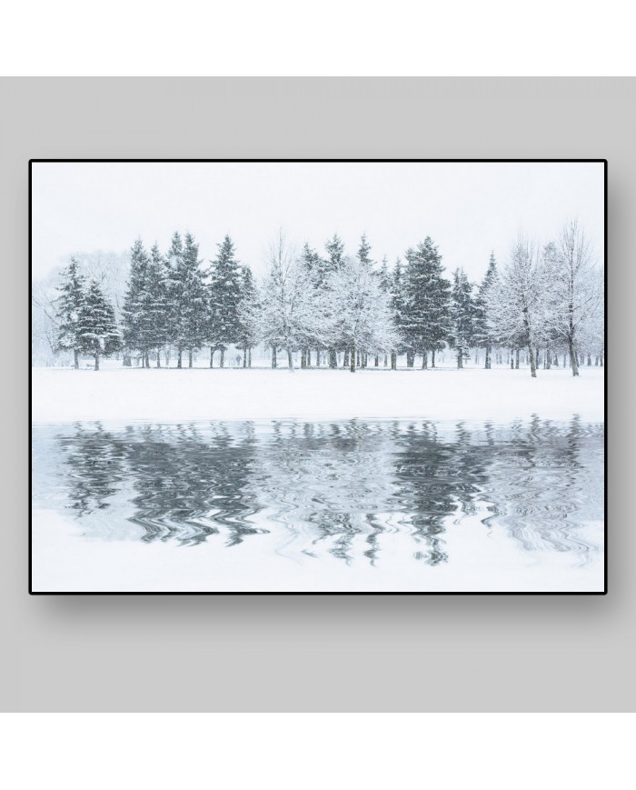 Bosque en invierno, Alaska, USA