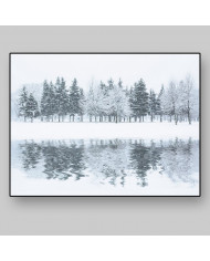 Bosque en invierno, Alaska, USA