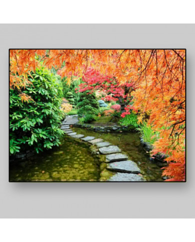 Jardín japononés Jardín japononés