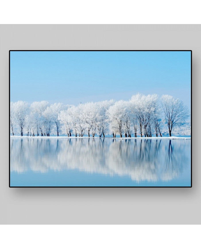 Bosque en invierno, Siberia, Rusia