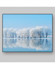 Bosque en invierno, Siberia, Rusia