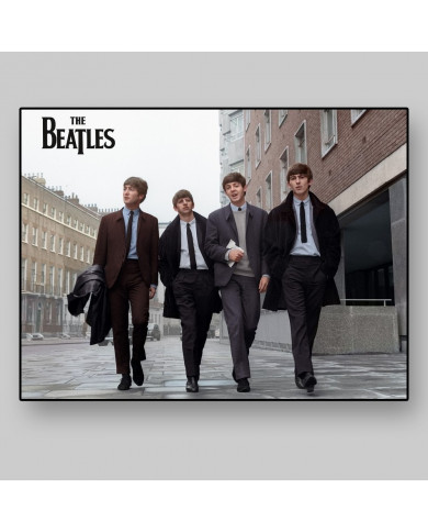 The Beatles The Beatles
