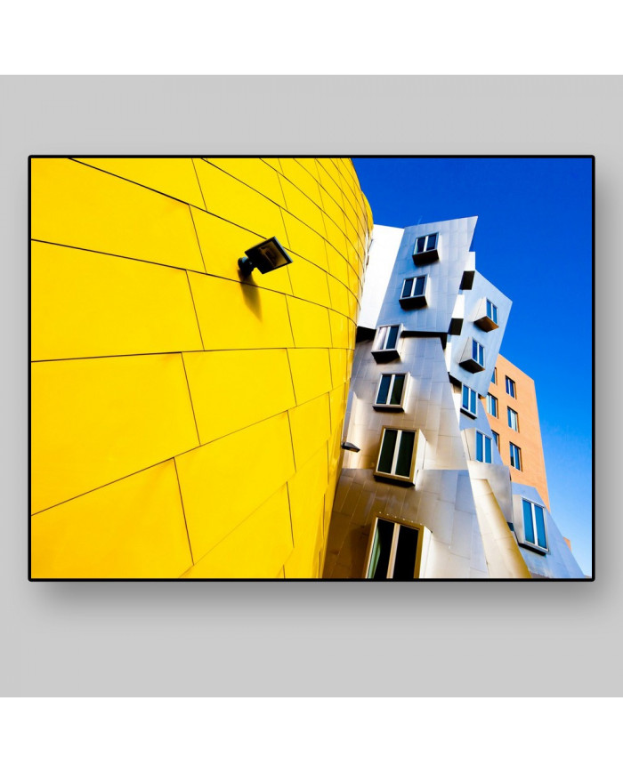 Frank Gehry Architecture