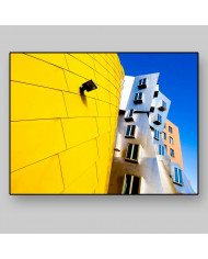 Frank Gehry Architecture