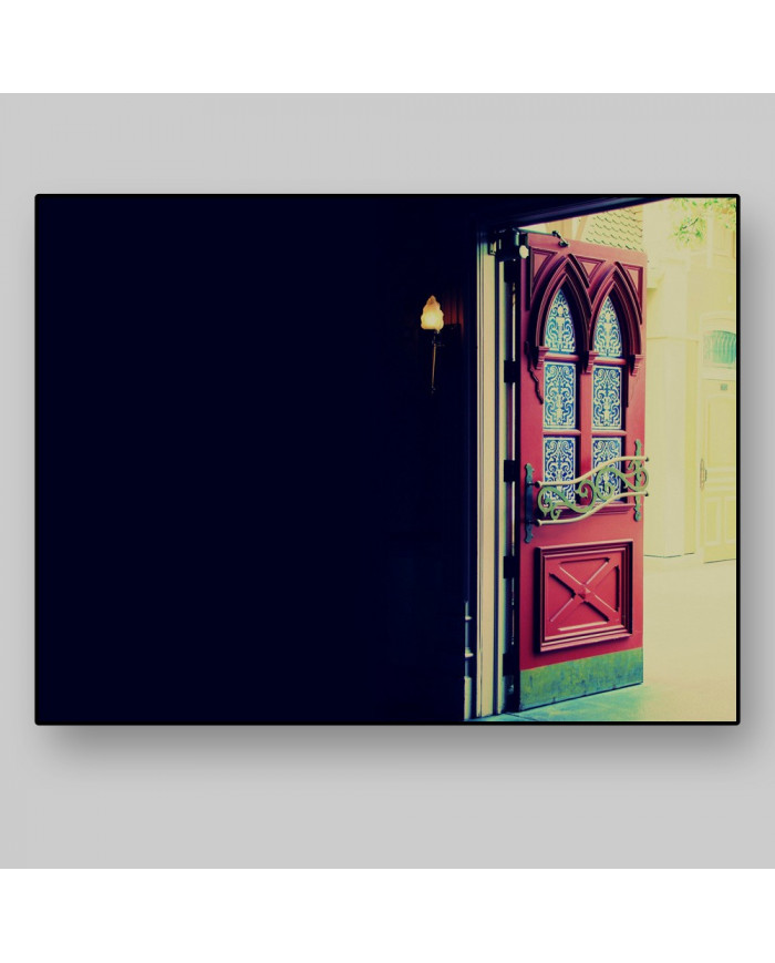 Detalle de una puerta, París, Francia