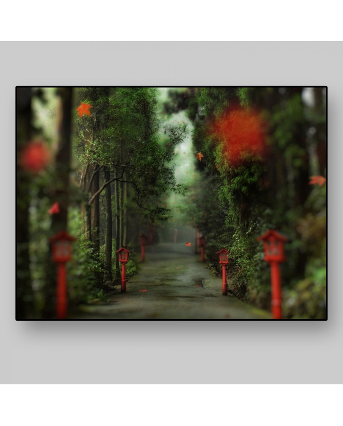 Camino del bosque, China