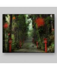 Camino del bosque, China