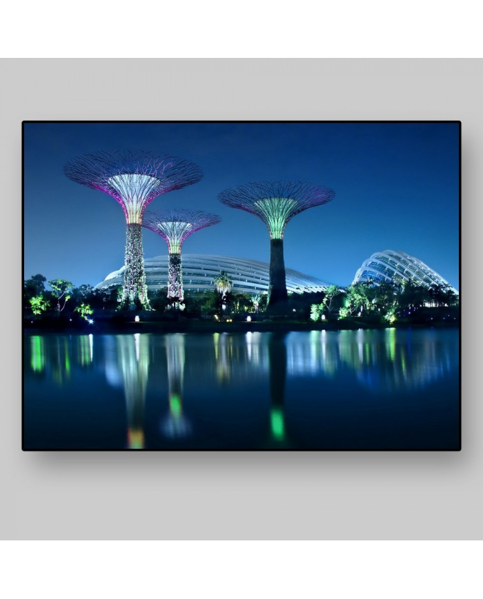 Gardens by the bay, Singapur