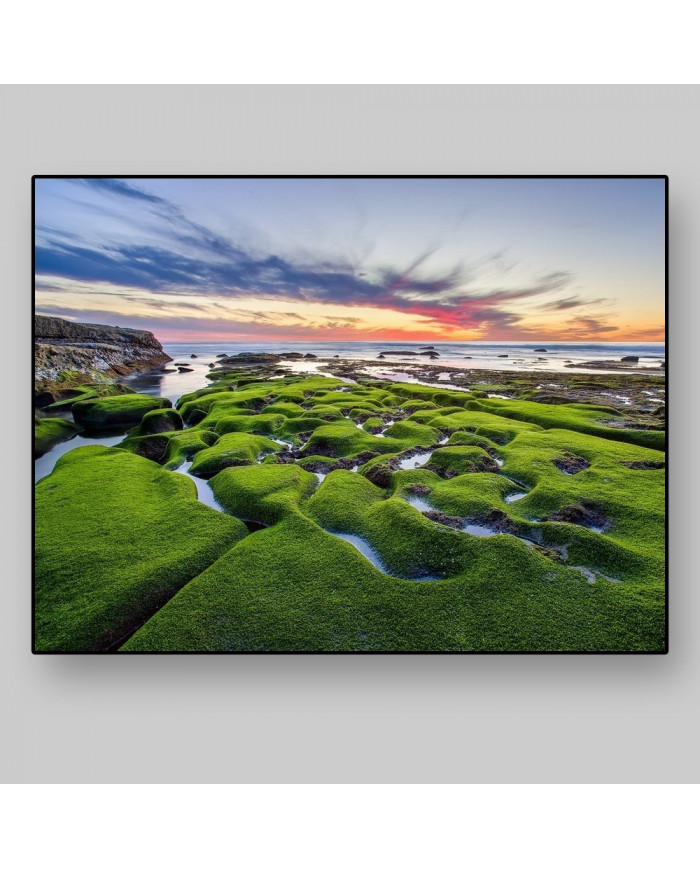 Costa de la Joya, California, USA