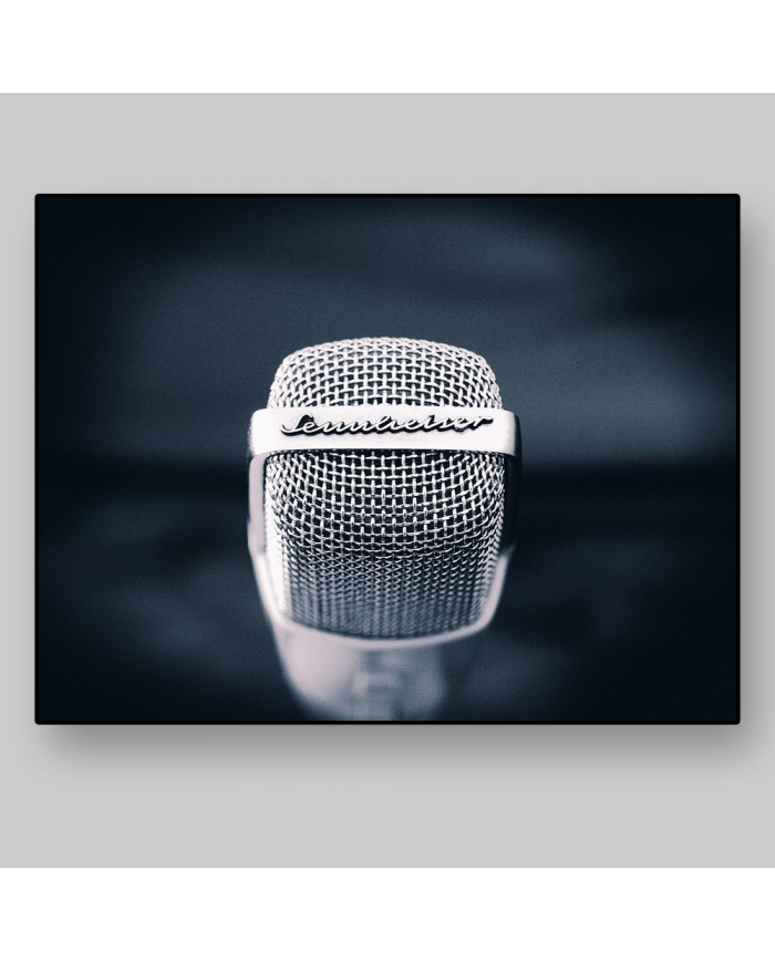 El micrófono de nuestras vidas