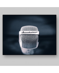 El micrófono de nuestras vidas