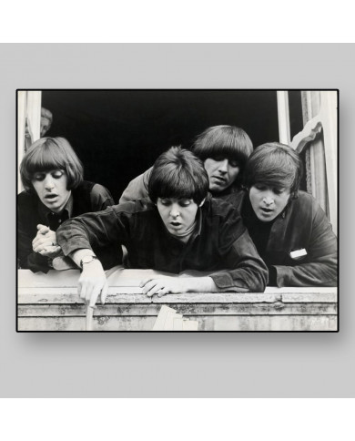 The Beatles The Beatles