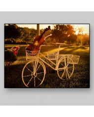 Bicicleta con violín