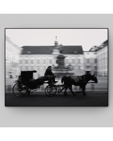 Carruaje tirado por caballos en el palacio Hofburg, Viena, Austria Carruaje tirado por caballos en el palacio Hofburg, Viena, Austria