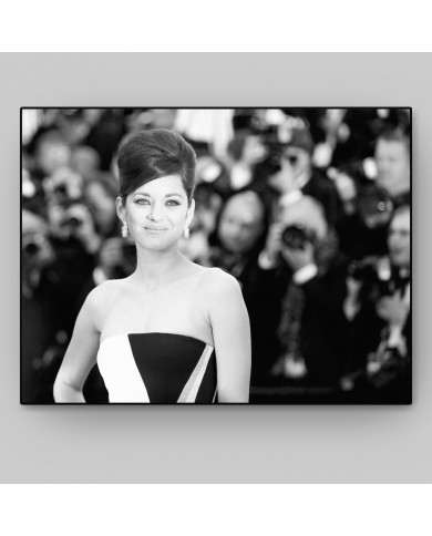 Marion Cotillard Marion Cotillard