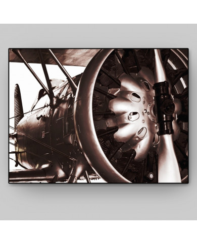 Motor y hélice de un aeroplano Motor y hélice de un aeroplano