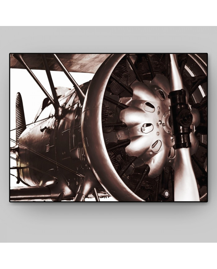 Motor y hélice de un aeroplano