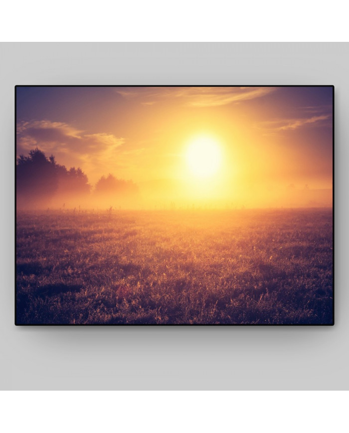 La niebla matutina en la pradera