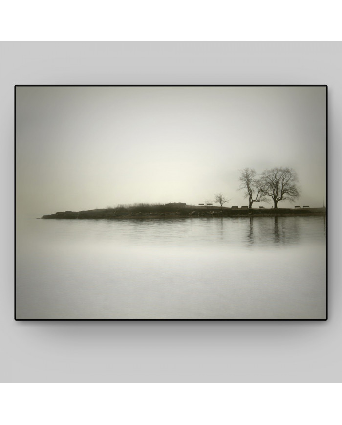 El reflejo de los árboles