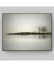 El reflejo de los árboles