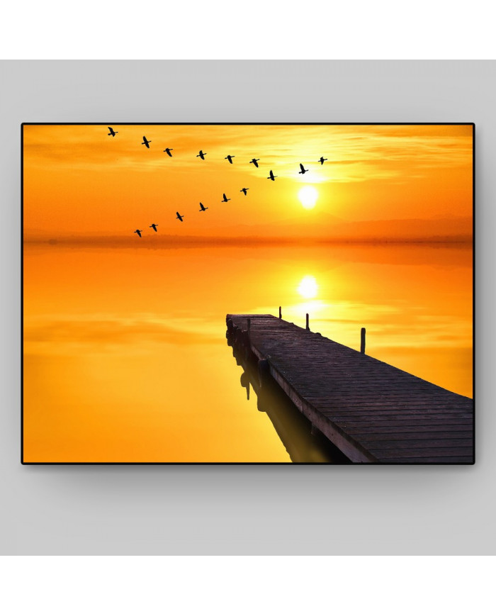 Pájaros sobre el pier