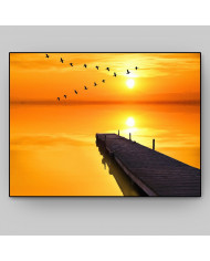 Pájaros sobre el pier