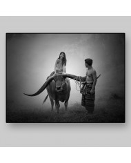 Campesina sobre un búfalo de agua, Birmania