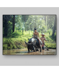 Campesino sobre búfalo, Tailandia