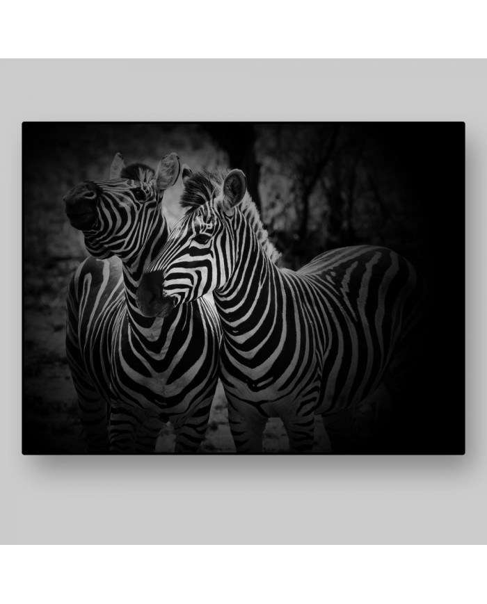 Cebras, Parque Nacional Etosha, Namibia