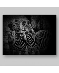 Cebras, Parque Nacional Etosha, Namibia