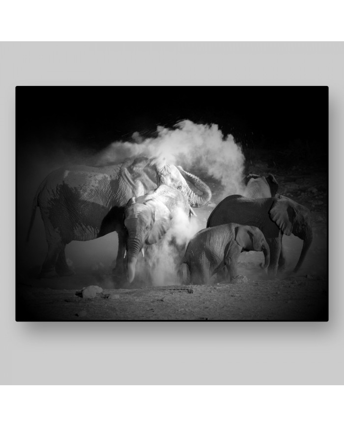 Elefantes tomando un baño de polvo, Parque Nacional Etosha, Namibia