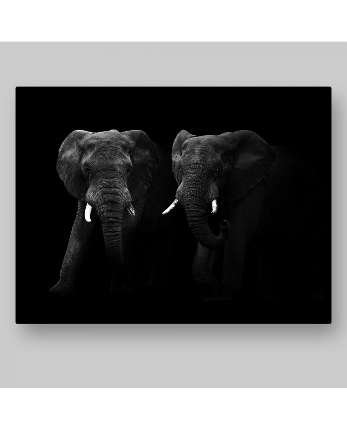 Elefantes, Parque Nacional Masai Mara, Kenia