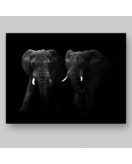 Elefantes, Parque Nacional Masai Mara, Kenia