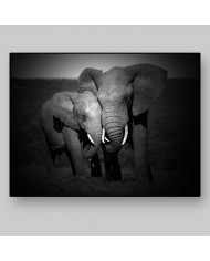 Elefantes, Parque Nacional Masai Mara, Tanzania