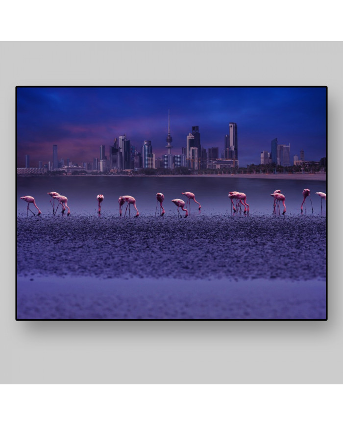 Flamencos frente al Skyline de Kuwait