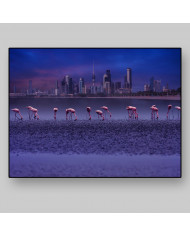 Flamencos frente al Skyline de Kuwait