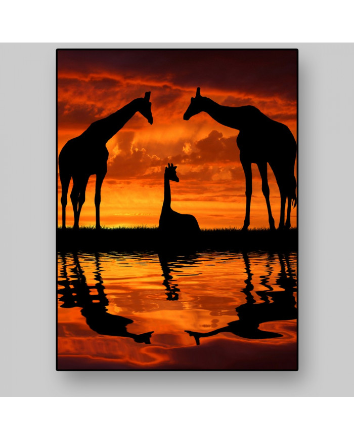 Jirafas al amanecer, Parque Nacional Masai Mara, Tanzania