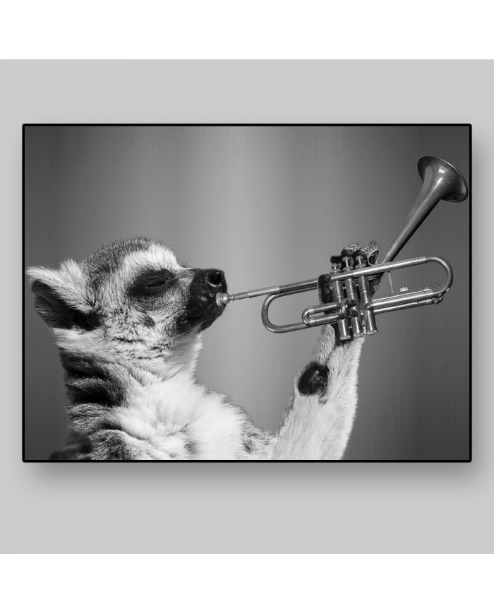 Lemur tocando la trompeta