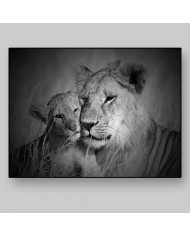 Leona con su cachorro, Parque Nacional Serengueti, Tanzania