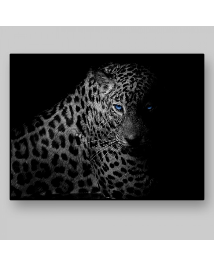 Leopardo, Parque Nacional Serengueti, Tanzania