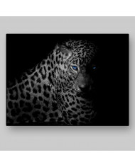 Leopardo, Parque Nacional Serengueti, Tanzania