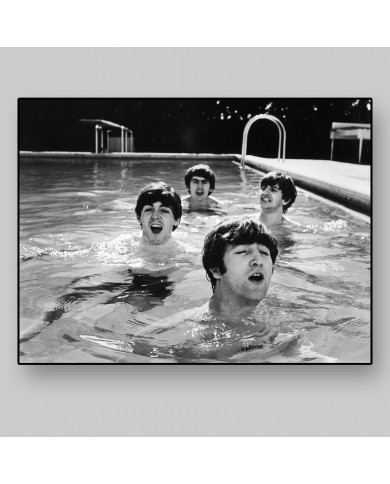 The Beatles The Beatles