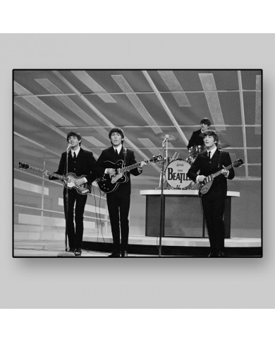 The Beatles The Beatles