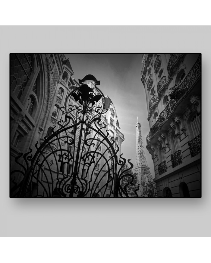 Vista de la Torre Eiffel, París