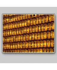 Linternas tradicionales de papel, Tokio, Japón