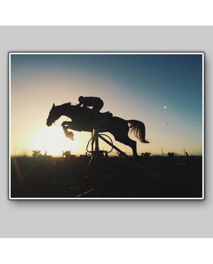 Competición ecuestre