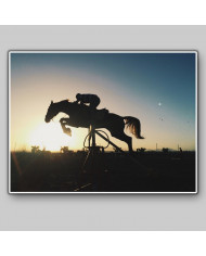 Competición ecuestre