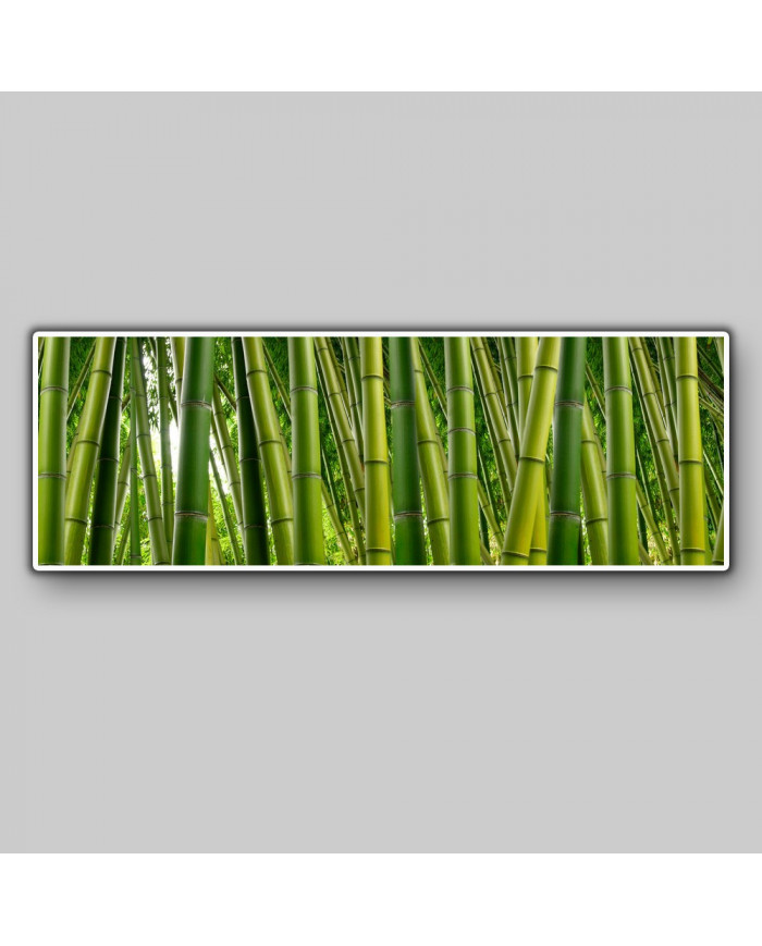 Bosque de bambús,India