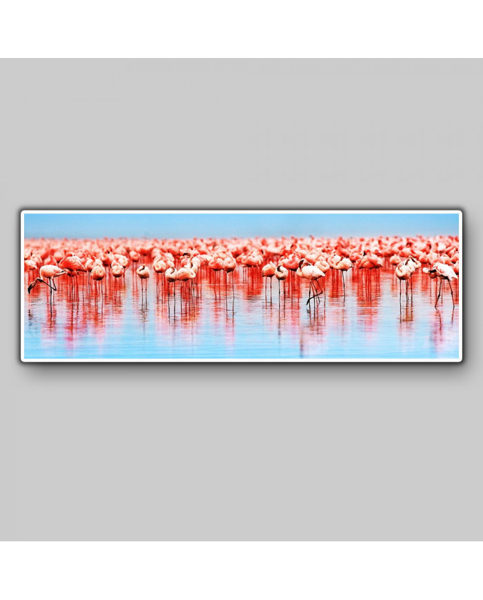 Flamencos,lago de Nakuru,Kenia